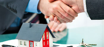 Consulenza professionale